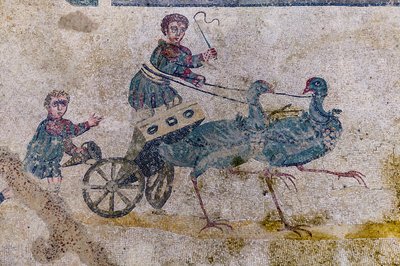 Chariot Race with Charts Pulled by Birds by Roman