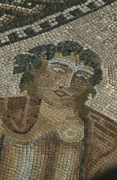 Dionysos discovering Ariane asleep (detail) by Roman