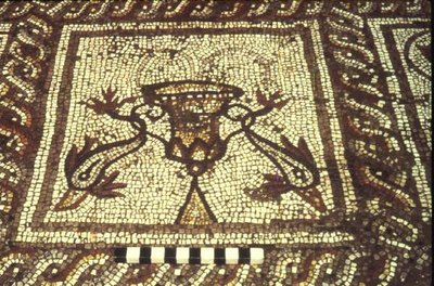 Dolphin Mosaic, Insula XXVIII, Building 3 by Roman