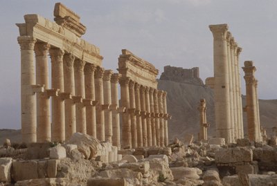 Earliest Part of the Colonnaded Street Forming the Main Axis of the City, Leading to Qalaat Ibn Maan, a 17th Century Arab Castle, Built in the First Half of the 2nd Century by Roman