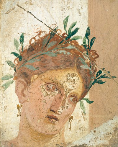 Face of a young girl, from Herculaneum, Campania. Roman Civilization, 20-10 BC by Roman