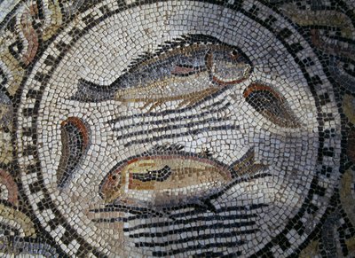 Fish, Mosaic in Roman City of Volubilis (UNESCO World Heritage List) by Roman