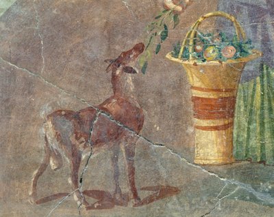 Goat and basket of fruit, fresco from Pompeii, Campania, Italy, Roman civilization by Roman