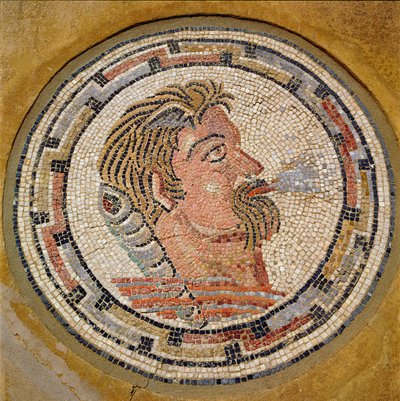 Head of a Man, Roman Mosaic from the House of Orpheus, 3rd Century AD by Roman