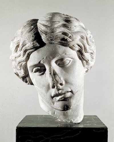 Head of an amazon (marble sculpture, 2nd century AD) by Roman