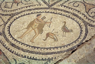 Hercules and the Stymphalian Birds, from the floor of 