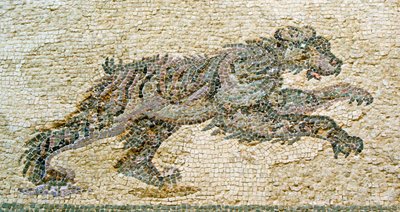 Hunting Scene, Detail of a Bear, House of Dionysos, Paphos, Cyprus by Roman