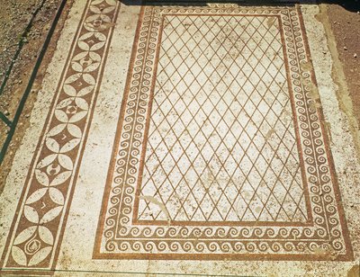 Mosaic floor from the House of the Messii by Roman