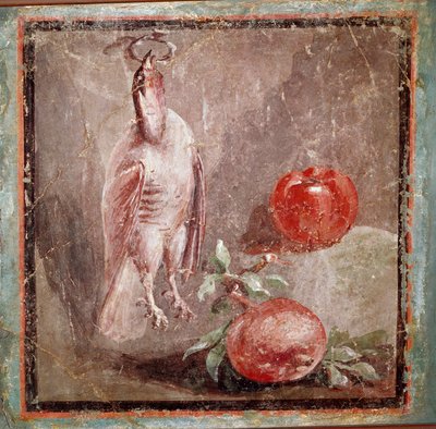 Partridge and Pomegranates by Roman