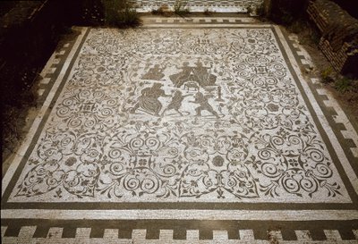 Pavement mosaic of the house of Dionysus and Ariane, 2nd century by Roman