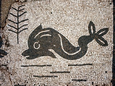 Representation of a dolphin after a mosaic in the square of the Corporazioni of Ostia antica by Roman