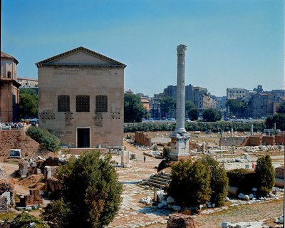 Roman Forum: View of the Curia by Roman