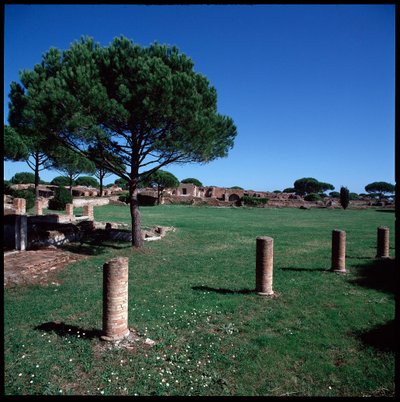 Roman art: view of the ruins of Campo della Magna Mater, region IV by Roman