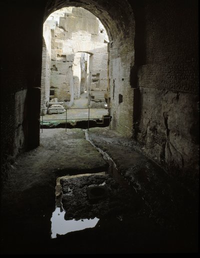 View of the Underground Passages of the Colosseum by Roman