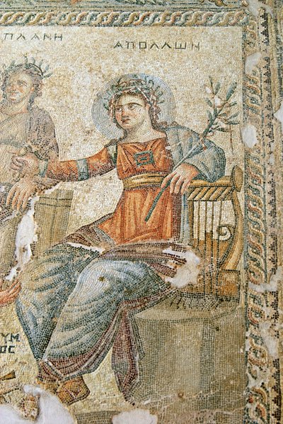 The Apollo and Marsyas Mosaic, Detail of Pliny and Apollo, House of Aion, Paphos, Cyprus by Roman