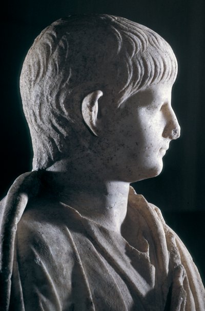 Togate statue of the young Nero, side view of the head, c.50 AD (detail) by Roman