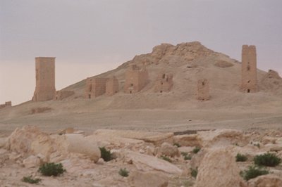 Tower Tombs Including the Tower Tomb of Iamliku Built in 83 AD, the Valley of the Tombs by Roman