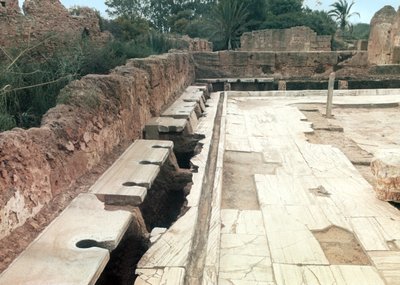 View of a communal lavatory, possibly part of the Hadrianic Bath complex, c.127 AD by Roman