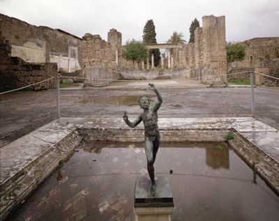 View of the Casa del Fauno (House of the Faun) by Roman