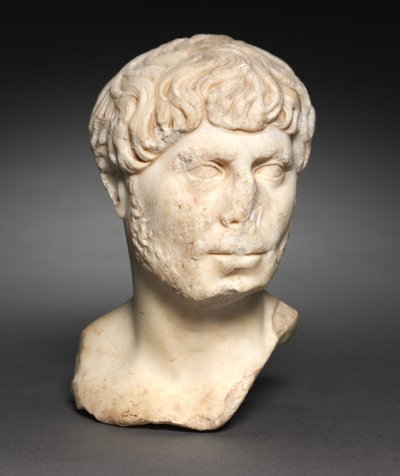 Head of a Bearded Man, c.125 by Roman Imperial Period