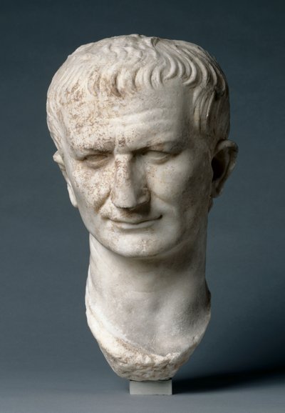 Portrait Head of a Statesman, Possibly Vespasian by Roman Imperial Period
