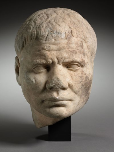 Portrait of a Man, c.100 by Roman Imperial Period