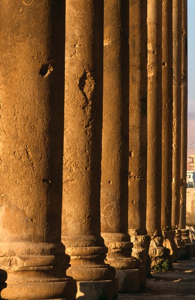 Temple of Bacchus, Colonnade (detail) by Roman Imperial Period