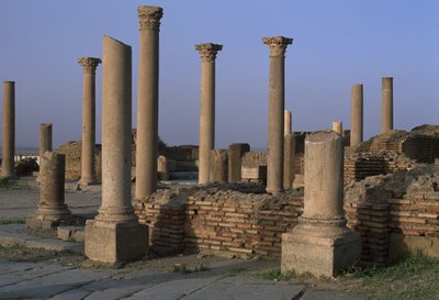 View of the Library, High Imperial Period by Roman Imperial Period