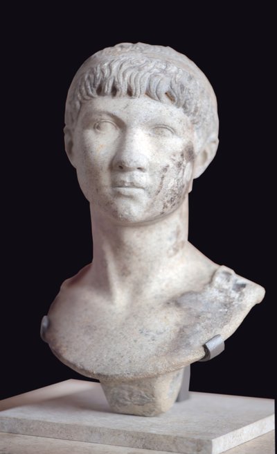 Bust of Ptolemy of Mauretania (10 BC - 40 AD) by Roman Roman