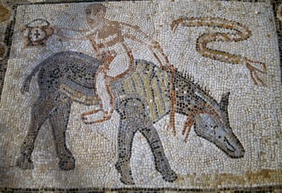 Desultor Riding Donkey Backwards and Holding Up Kantharos, Mosaic in House of Desultor in Roman City of Volubilis by Roman Roman