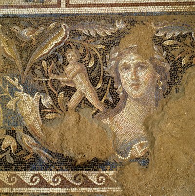 Floor from a Roman Villa at Zippori Depicting Scenes from the Life of Dionysus (detail) by Roman Roman