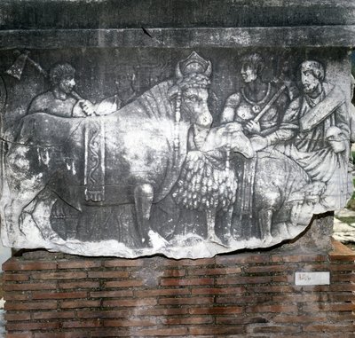 Roman Forum: Suovetaurilia (sacrifice of a pig, a ram and a bull). Rome by Roman Roman