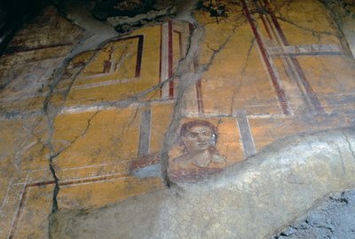 Fresco from House of Golden Cupids, Pompeii by Roman Roman