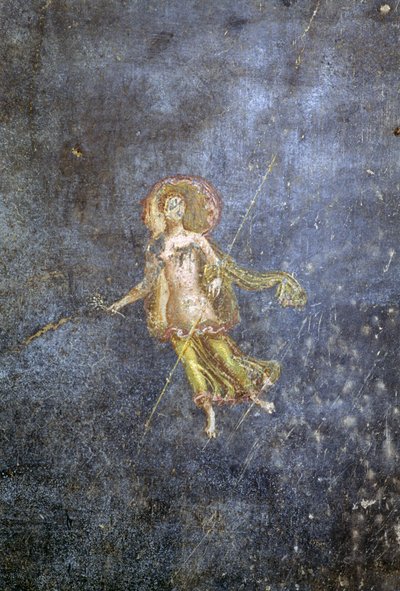 Fresco from House of Menander, Pompeii by Roman Roman