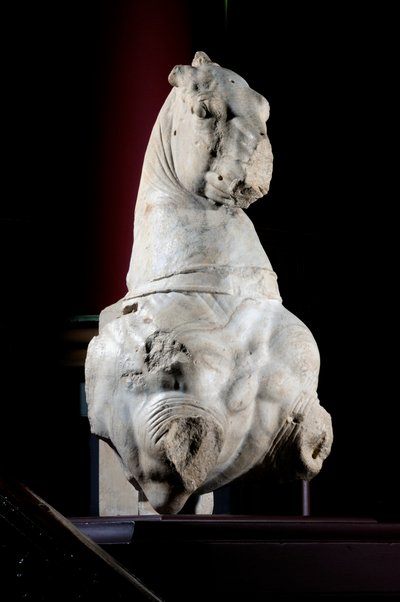 Front Part of a Horse by Roman Roman