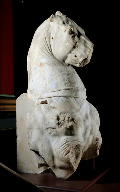 Front part of a horse by Roman Roman