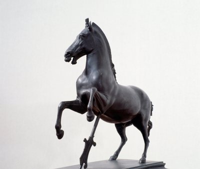 Galloping Horse by Roman Roman