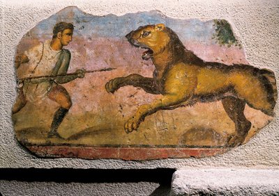 Gladiator fighting a lion by Roman Roman