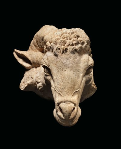 Head of a Ram, c.1st century BC - 1st century AD by Roman Roman