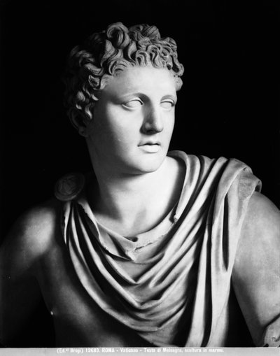 Meleagris (detail) by Roman Roman