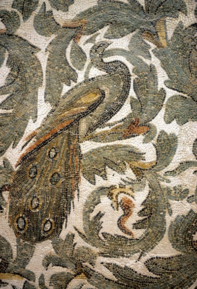Peacock, Detail of Mosaic - 4th Century A.C., Bardo Museum, Tunis by Roman Roman