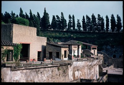 Solarium of the casa dell