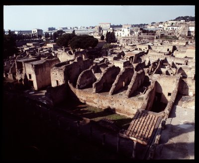 Southern Area Excavations by Roman Roman