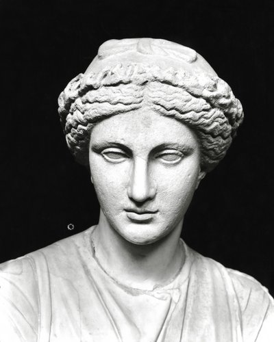 Statue of Clio Holding a Scroll, (detail) of the Head by Roman Roman