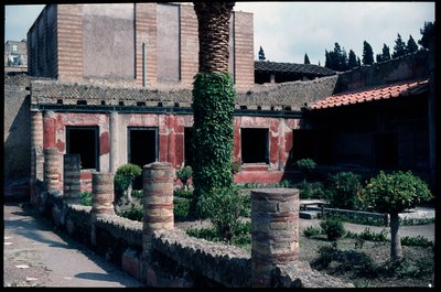 The garden of the casa dell