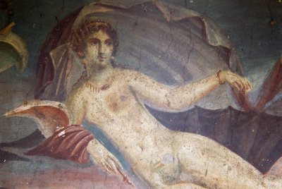 Venus in Shell (detail) by Roman Roman