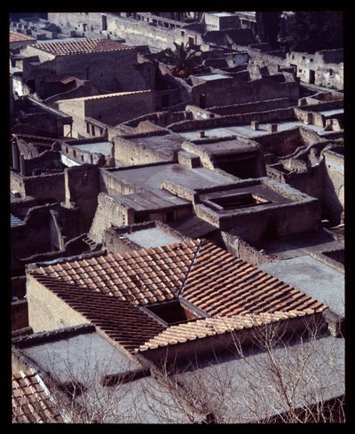 View of Casa Sannitica by Roman Roman