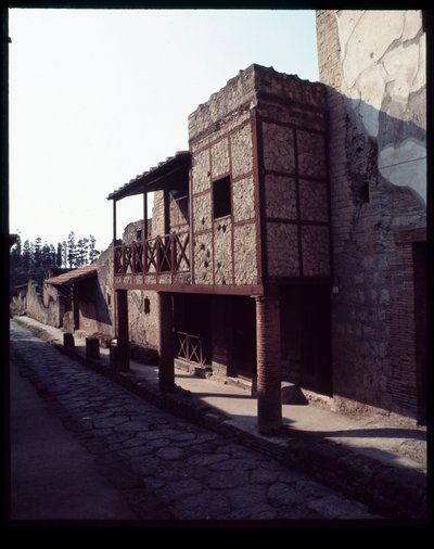 View of a House by Roman Roman