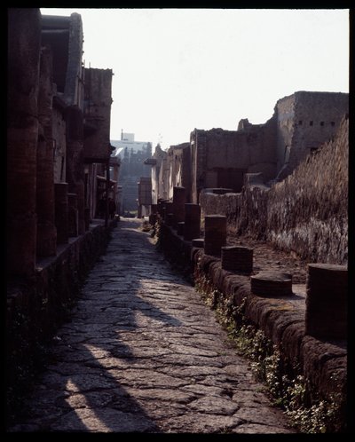 View of a Street by Roman Roman