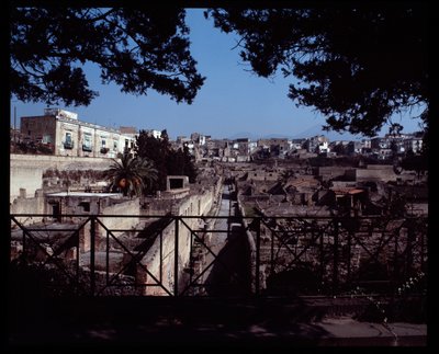 View of Cardo III by Roman Roman